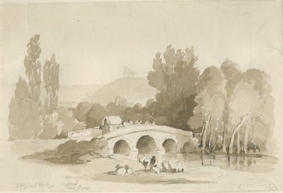 Stafford - Ponte di Hollyford, Milford da Thomas Peploe Wood