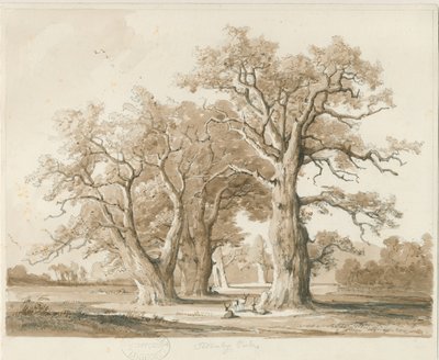 Teddesley Hall - Querce da Thomas Peploe Wood