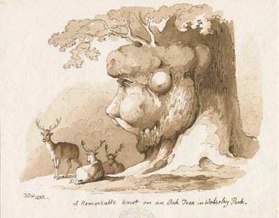 Parco di Wolseley - Nodo su una quercia: disegno a penna e seppia da Thomas Peploe Wood