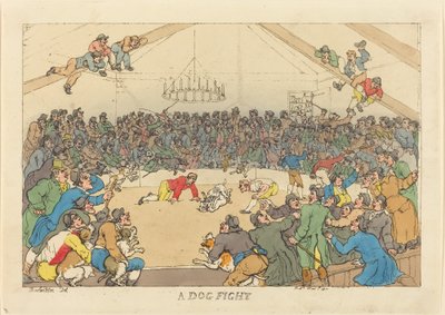 Una lotta tra cani da Thomas Rowlandson