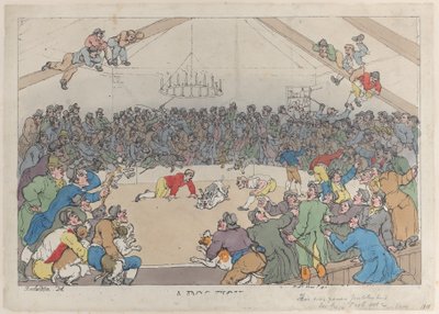 Una lotta tra cani da Thomas Rowlandson