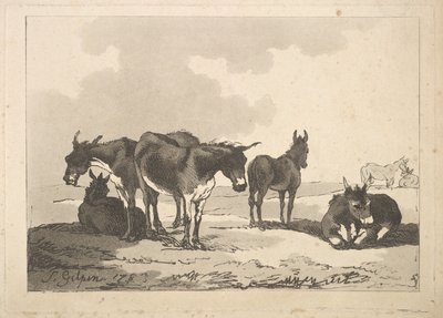 Un Gruppo di Cinque Asini, Tre in Piedi, Due Sdraiati da Thomas Rowlandson