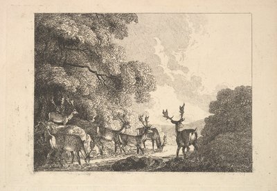 Un gruppo di cervi che bevono da Thomas Rowlandson