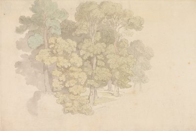Un gruppo di alberi da Thomas Rowlandson