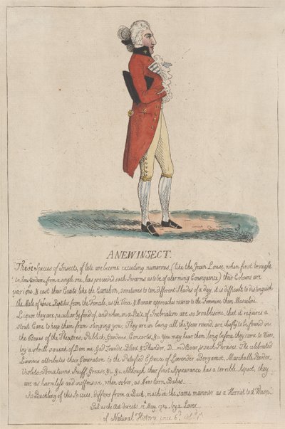Un nuovo insetto da Thomas Rowlandson