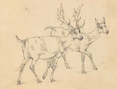 Disegno di Album da Thomas Rowlandson