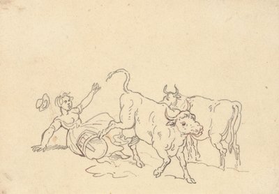 Disegno dell