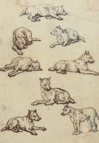 Disegno dell