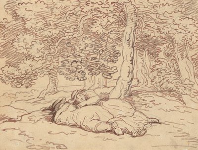 Disegno dell