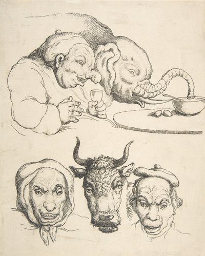 Anatomia comparata da Thomas Rowlandson