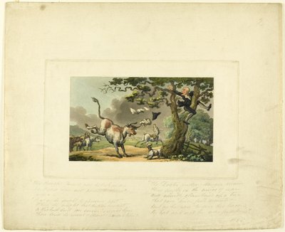 Doctor Syntax inseguito da un toro, da The Tour of Doctor Syntax da Thomas Rowlandson