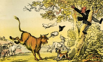 Il dottor Syntax inseguito da un toro da Thomas Rowlandson