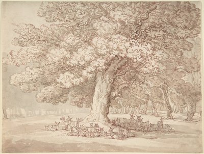 Un branco di cervi sotto una quercia da Thomas Rowlandson