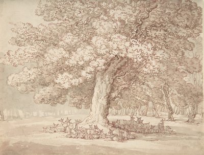 Branco di cervi sotto una quercia, 1775-1827 da Thomas Rowlandson