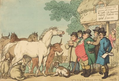Bovini assicurabili, pubblicato nel 1809 da Thomas Rowlandson
