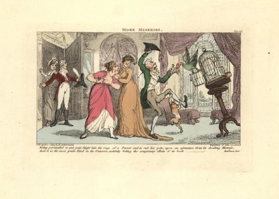 Uomo attaccato da un pappagallo e un gatto in un salotto da Thomas Rowlandson