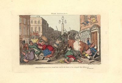 Uomo inchiodato a una porta dalle corna di un bue infuriato da Thomas Rowlandson