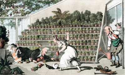 Sfortuna nella Sala dei Tulipani, c1816 da Thomas Rowlandson