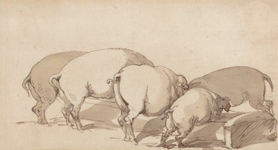 Maiali a un trogolo da Thomas Rowlandson