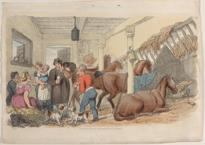 Tavola 36, da Il Mondo in Miniatura da Thomas Rowlandson