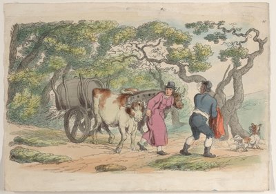 Tavola 40, da World in Miniature, 1816 da Thomas Rowlandson