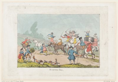 Richmond Hill da Thomas Rowlandson