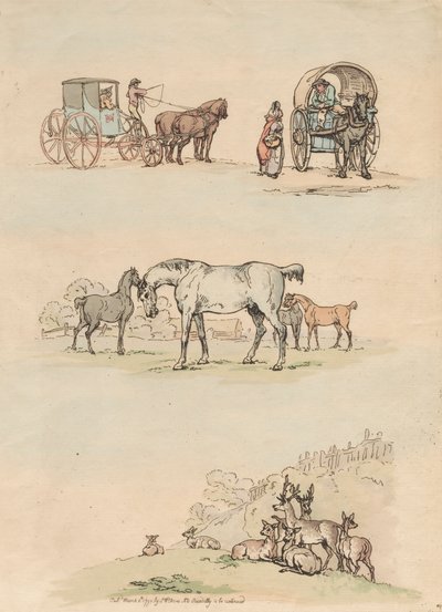 Serie di Sedici: Contorni di Figure e Paesaggi da Thomas Rowlandson