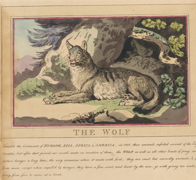 Set di otto con frontespizio. “Animali stranieri e domestici”. 5. Il lupo da Thomas Rowlandson