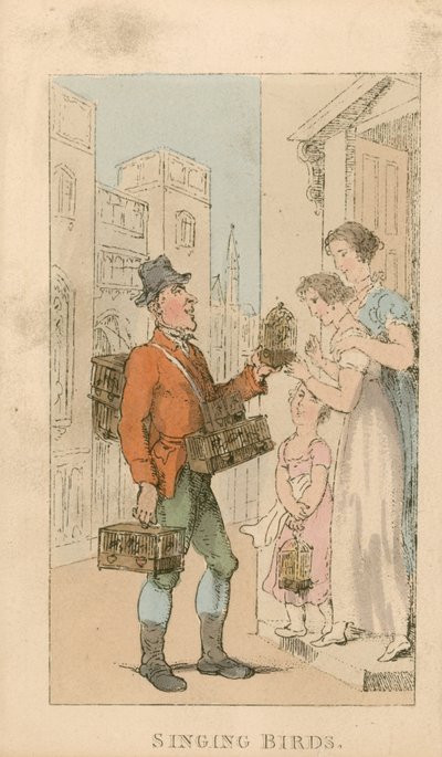 Uccelli canori da Thomas Rowlandson