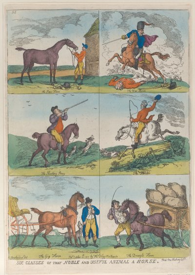 Sei classi del nobile e utile animale un cavallo da Thomas Rowlandson