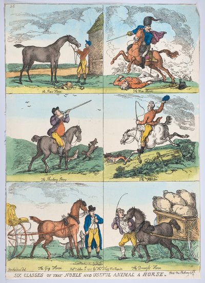 Sei Classi del Nobile e Utile Animale un Cavallo, 10 ottobre 1811 da Thomas Rowlandson