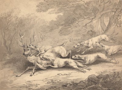 Cervo abbattuto da un branco di cani da Thomas Rowlandson