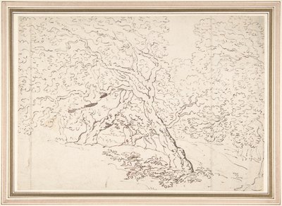 Studio degli alberi da Thomas Rowlandson