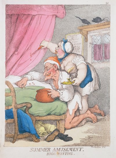 Divertimento estivo. Caccia agli insetti da Thomas Rowlandson