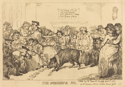 Il maiale meraviglioso da Thomas Rowlandson
