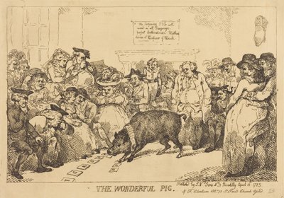 Il maiale meraviglioso da Thomas Rowlandson