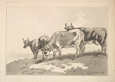 Tre mucche in piedi sul crinale di un campo da Thomas Rowlandson