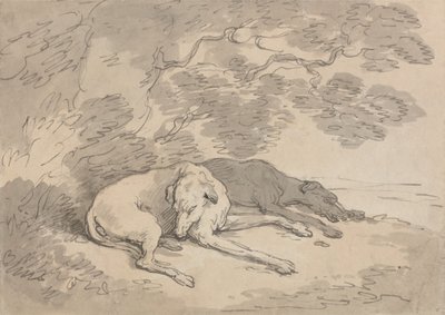 Due levrieri sdraiati sotto un albero da Thomas Rowlandson