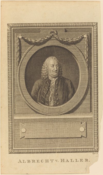 Albrecht V. Haller da Thomas Ryder