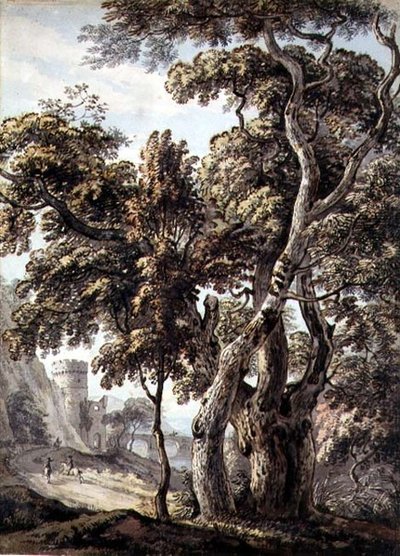 Studio di alberi da Thomas Sandby
