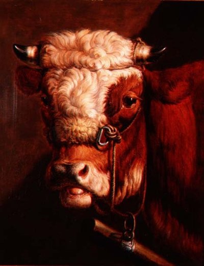 Ritratto di una Testa di Toro da Thomas Sidney (studio of) Cooper
