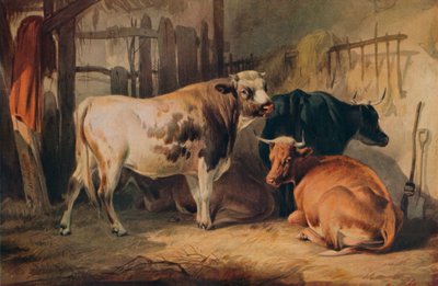 Un toro e tre mucche in una stalla da Thomas Sidney Cooper