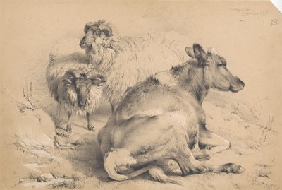 Una mucca e due arieti da Thomas Sidney Cooper