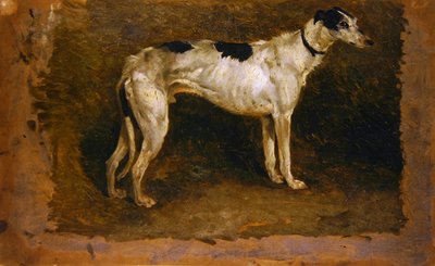 Un levriero da Thomas Sidney Cooper