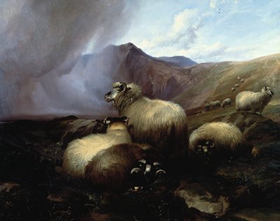 Pecore delle Highlands in un paesaggio montuoso, 1854 da Thomas Sidney Cooper