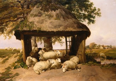 Pecore che riposano sotto un riparo da Thomas Sidney Cooper