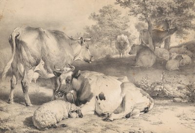  da Thomas Sidney Cooper