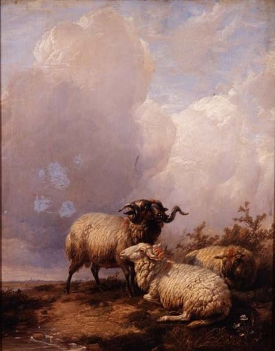 Pecore nel paesaggio da Thomas Sidney Cooper
