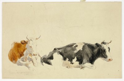 Due mucche supine (recto); schizzo di mucca in piedi (verso) da Thomas Sidney Cooper