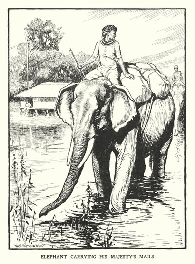 Elefante che trasporta la posta di Sua Maestà da Thomas Somerfield
